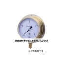 第一計器製作所 HNT汎用圧力計(蒸気用・M)BMT3/8-75:0.5MPA 0354-01-0018030 入数:1個