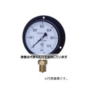 第一計器製作所 IPT一般圧力計 BS1/2-100:50MPA 0354-02-0040670 入数:1個