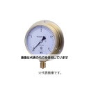 第一計器製作所 HNT汎用圧力計 BT3/8-75:0.2MPA 0354-02-0040240 入数:1個