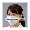 アズワン(AS ONE) マスク(プリーツ型/7枚) EA800MF-22D 入数:1パック(7枚入)