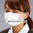 アズワン(AS ONE) マスク(使い捨て・小さめサイズ/50枚) EA800MH-12A 入数:1箱(50枚入)