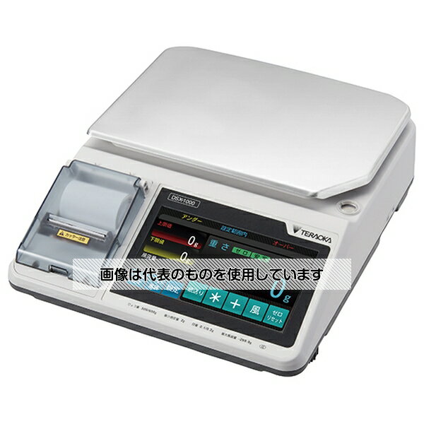  ǥ륹ʥץ󥿡¢ס DSX-1000P 600G 1