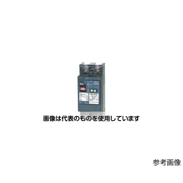 テンパール工業 漏電遮断器 GB-52EC 40A 30MA 入数:1個