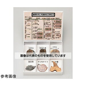 大江理工社 ミニ標本シリーズ示準化石6種セット(高等学校用) 入数:1箱