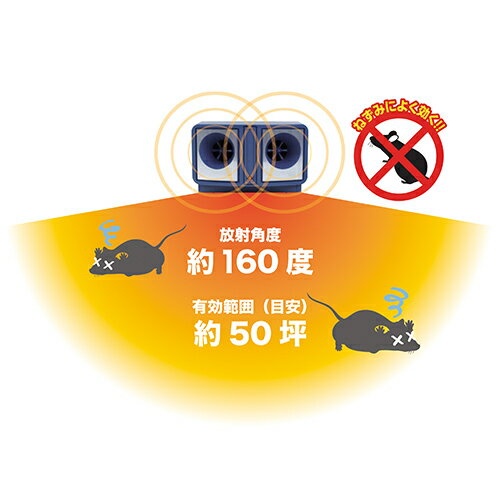 DAISHIN(���) �ͤ���Ķ���ȷ���DS-119�����󥻥�ȼ� �ں߸�ͭ���