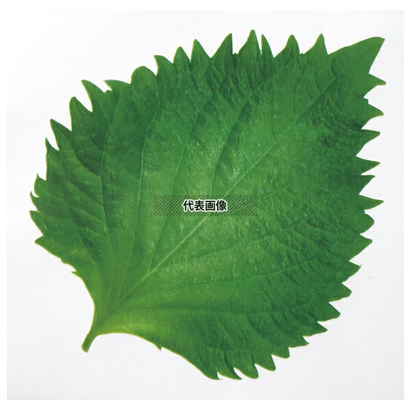 タカギ産業 ミリオンフィルムシート (1000枚入) 大葉型 横:85 厨房消耗品 No.1312210