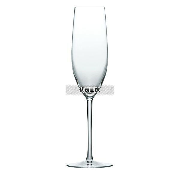パローネ シャンパン RN-10254CS (6個入) 170cc φ44×M67×H22 グラス/酒器 No.2503101