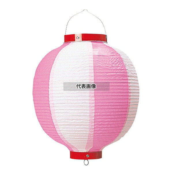 丸 ビニール提灯 9号 ピンク/白 φ240×H360(つるの先からリングまでのサイズ) 提灯 No.3749800