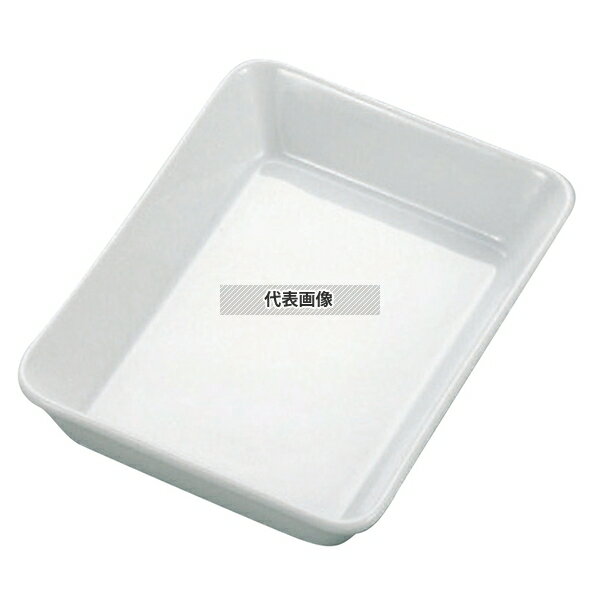 �򼧥����֥󥦥��� �饶�˥� 10����� �����֥󥦥��� 258��189��H48mm No.6099300