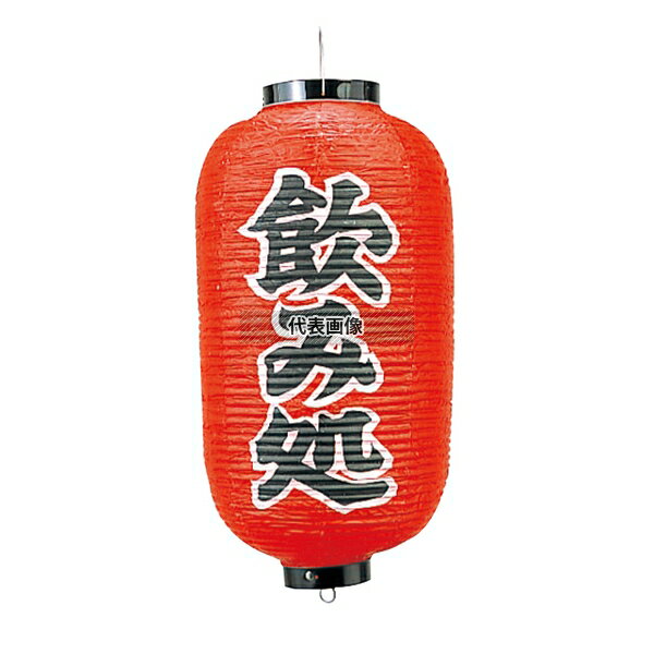 ���������� �ӥˡ������� 243 ���߽� 9��Ĺ ��240��600(�Ĥ���褫���󥰤ޤǤΥ�����) Ź������/����ƥꥢ No.63269...