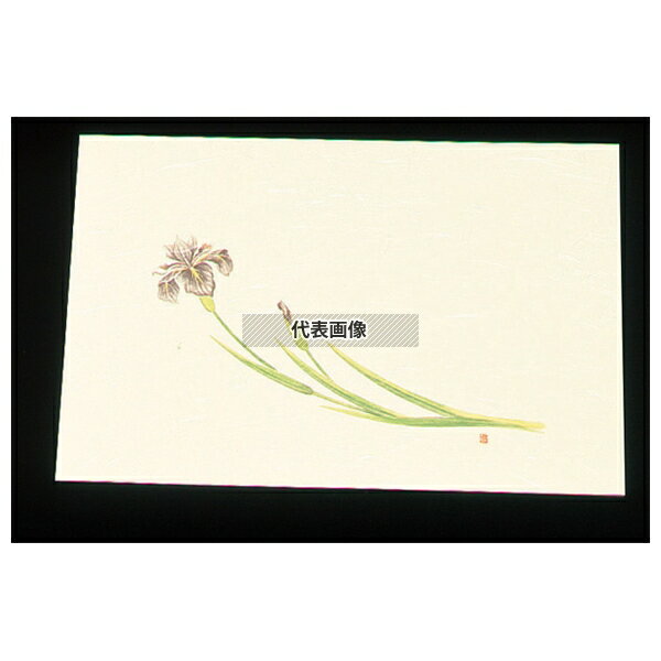 アーテック 尺三 懐石マット クリーム (100枚入) WSS-5 アヤメ (5月~6月) 264×390 料理演出用品 No.7959900