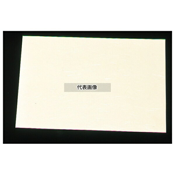 アーテック 尺三 懐石マット クリーム (100枚入) SAU-02 無地 (オールシーズン) 264×390 料理演出用品 No.7961200