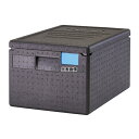 CAMBRO(キャンブロ) カムゴーボックス EPP180 (110) 46L 600×400×H316 ボックス No.8928800