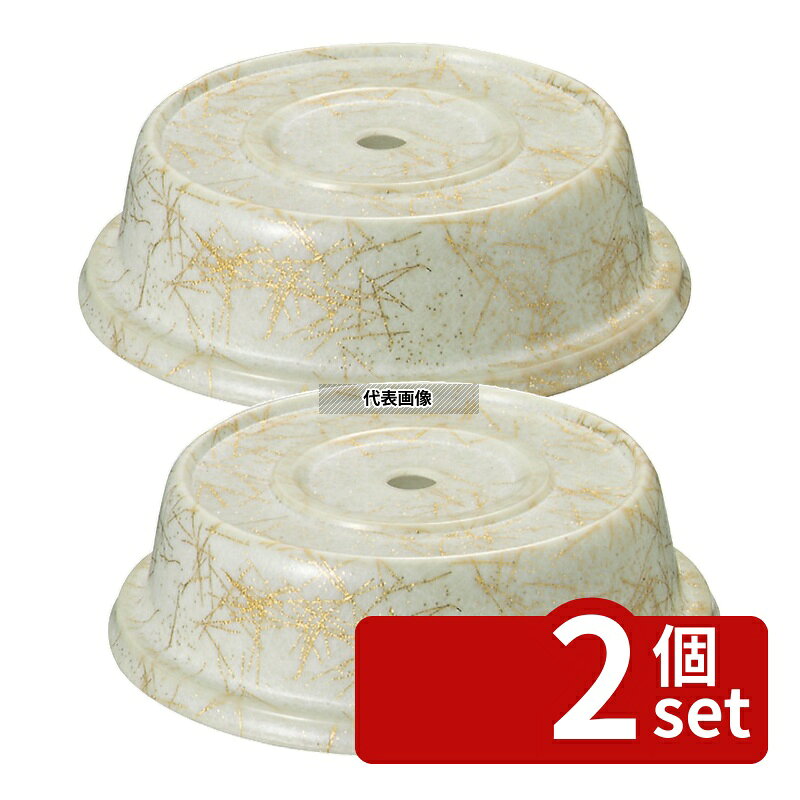 【2個セット】CAMBRO(キャンブロ) カムカバー ファイバーグラス 99FG アンチークパーチメントゴールド 255×H67mm No.1376500