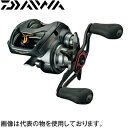 ダイワ 17スティーズ A TW 1016SHL(左ハンドル...