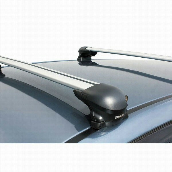 カーメイト(carmate) XB 85S エアロベースバーシルバー [法人限定]