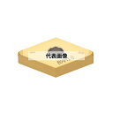 タンガロイ CBN インサート 2QP-DNGM-HP 2QP-DNGM150404-HP:BXA20