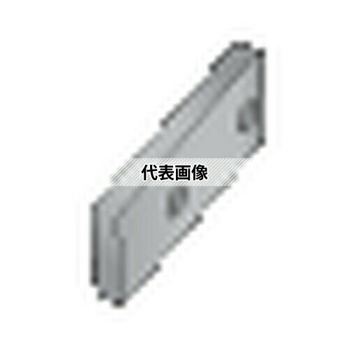タンガロイ TAC工具部品 (シムシート) AP21200