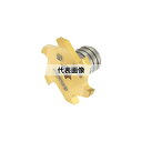 タンガロイ ソリッドエンドミル VTB-06 VTB250W6.00R04-06S10:GH130×2セット