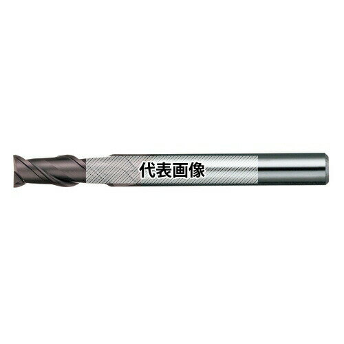 日進工具 無限コーティング　2枚刃エンドミル ネジレ角：45° MSE245 D4