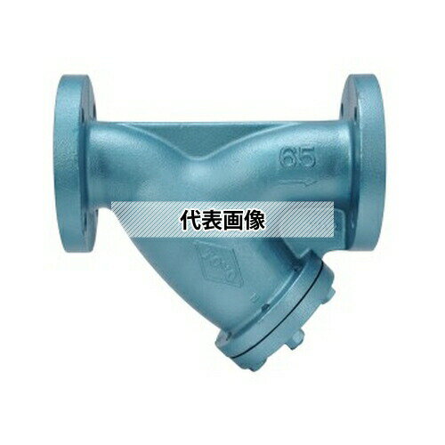 東洋バルヴ 鋳鉄 Y形ストレーナ(10-FTF-N) 10-FTF-N 200A