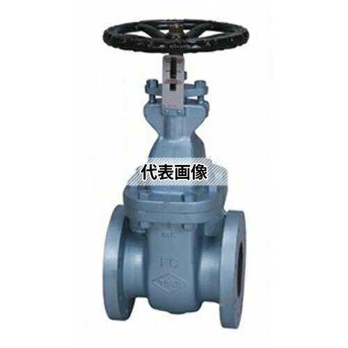 東洋バルヴ 鋳鉄 ゲート(J10-FSF) J10-FSF 65A