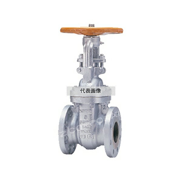 キッツ(KITZ) ゲート(10SCLS) 10SCLS 150A[送料別途お見積り]