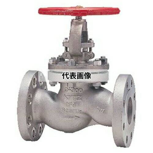 キッツ(KITZ) ベローズシールグローブ(300UPAW) 300UPAW 15A