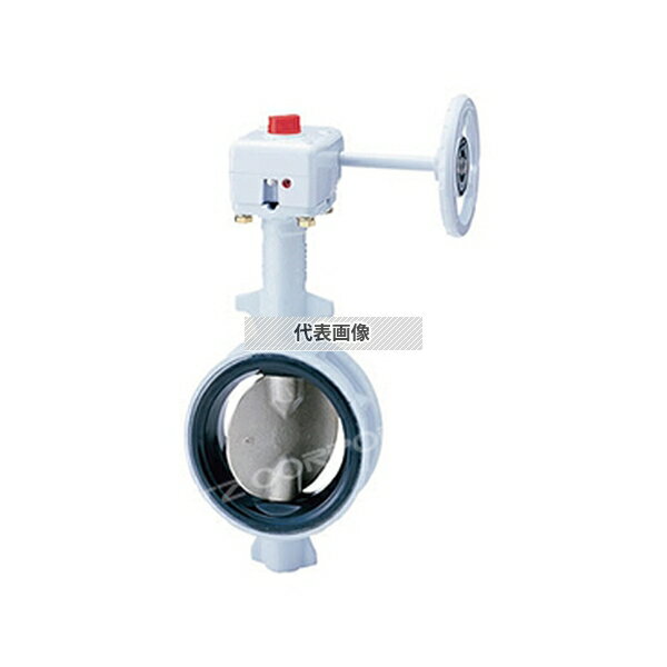 キッツ(KITZ) ダクタイル鉄製DJシリーズ(G-10DJU) G-10DJU 250A