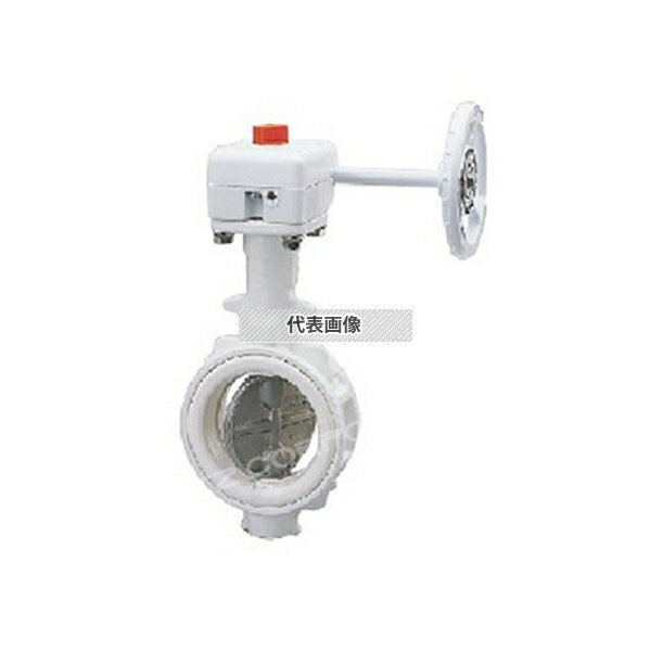 キッツ(KITZ) ダクタイル鉄製NFJシリーズ(G-10NFJUW) G-10NFJUW 100A