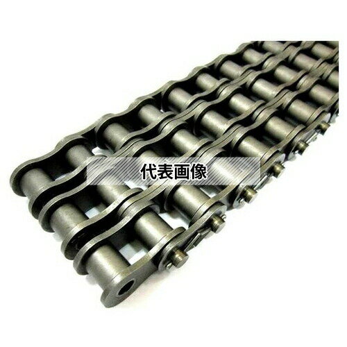 片山チエン ローラチェーン 100-3CPT