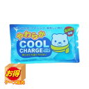 最安値チャレンジSale K-2018 ケース販売 日本製 やわらかクールチャージ ×40個セット | 保冷剤 やわらかクールチャージ オアシス 保冷剤やわらか...
