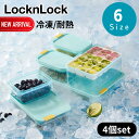 2025新商品 選べる6size LocknLock 冷凍用 保存容器 | ロック&ロック 冷凍 ロック 保存容器 フローズン コンテナ 保存 容器 保存ケース ケース 冷凍保存 フローズンコンテナ フードコンテナ 食品保存 食洗機対応 食洗機OK 電子レンジ対応 レンジ対応 食洗機