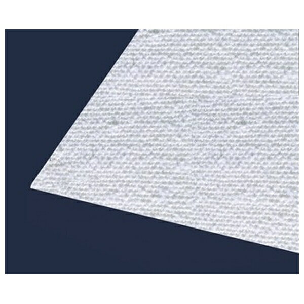 テラモト(TERAMOTO) ライトモップ湿乾クロス60 (10枚入) CL-352-460-0 [法人限定] | テラモト 清掃用品..