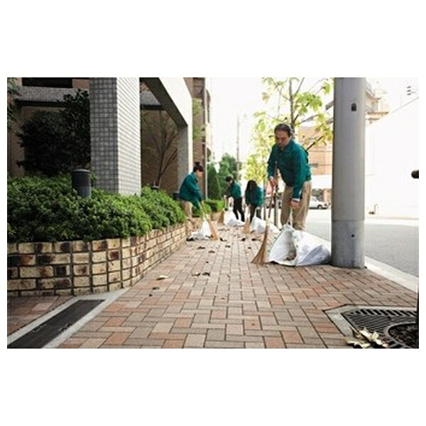 【箱売り 20個セット】テラモト(TERAMOTO) ちりとり捨楽 ライトグリーン 大 DP-466-030-1 [法人限定] | ちりとり テラモト 大 掃除 ちりとり捨楽 落ち葉 ゴミ集め 庭掃除 業務用 家庭用 軽量 ゴミ袋対応 ゴミ捨て 簡単 便利 幅広 掃き込み 大掃除 グリップ付
