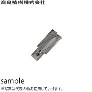 育良精機(イクラ) CCSQ220 35SQクリンキーカッター（超硬） 穴径：φ22.0mm