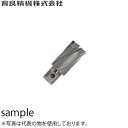 育良精機(イクラ)　CCSQ180　35SQクリンキーカッター（超硬）　穴径：φ18.0mm