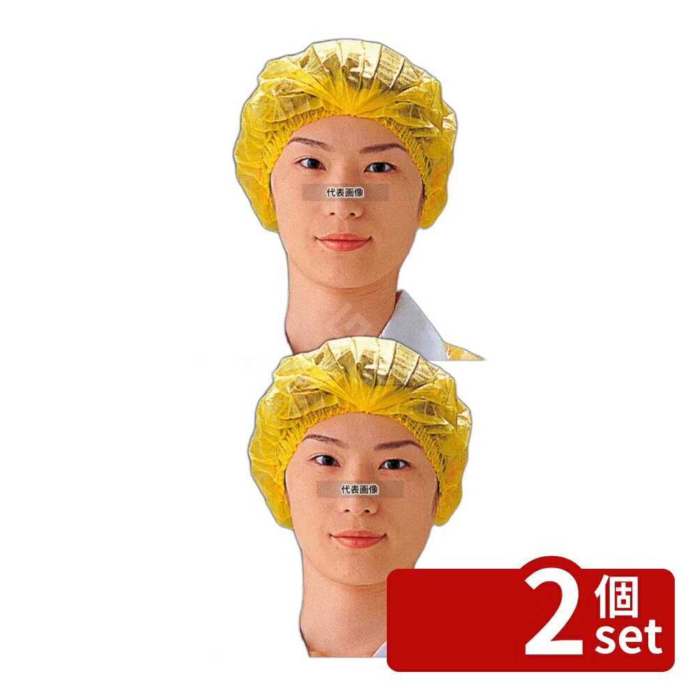 【2個セット】Pal モブキャップ (100枚入) D93110 (W) ホワイト フリーサイズ ユニフォーム No.1161300