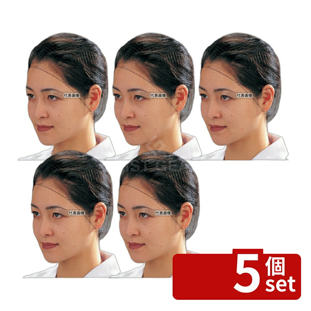 【5個セット】Pal ヘアーネット (100枚入) Mサイズ T20663 ユニフォーム No.1166900