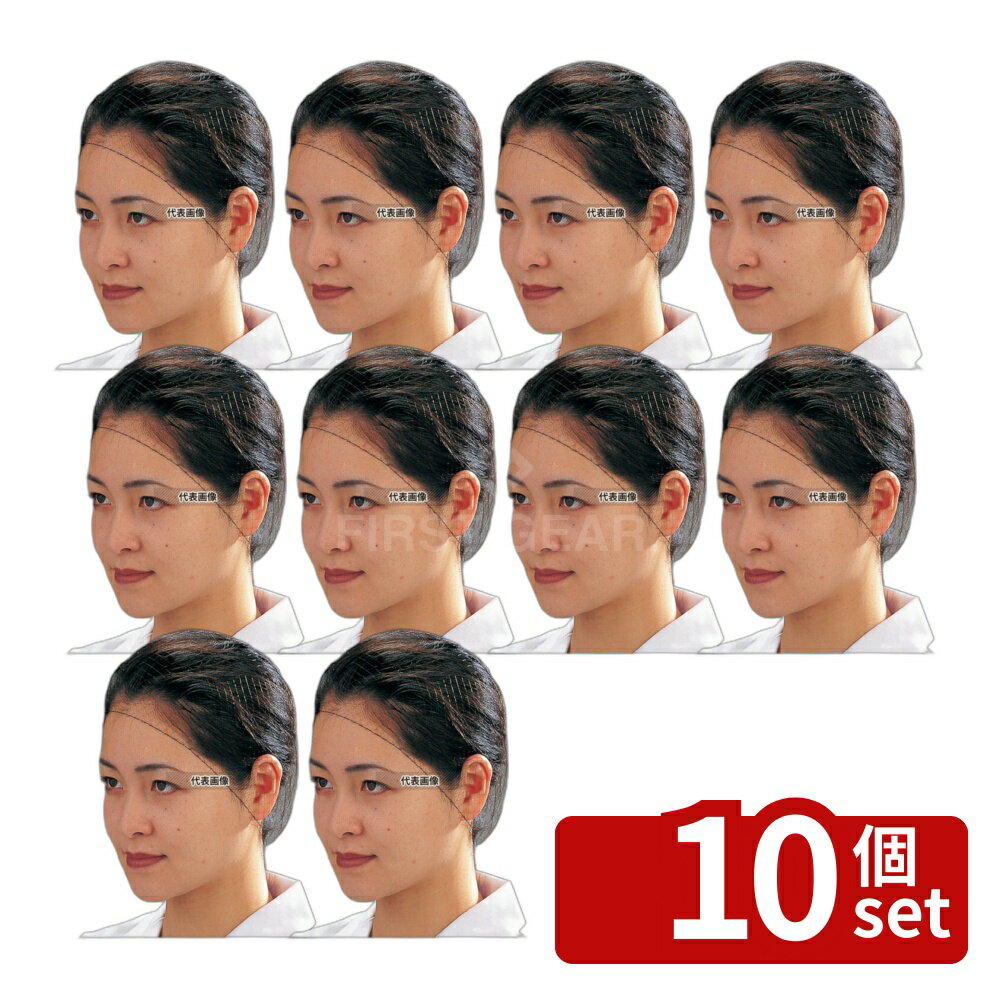 【10個セット】Pal ヘアーネット (100枚入) Mサイズ T20663 ユニフォーム No.1166900