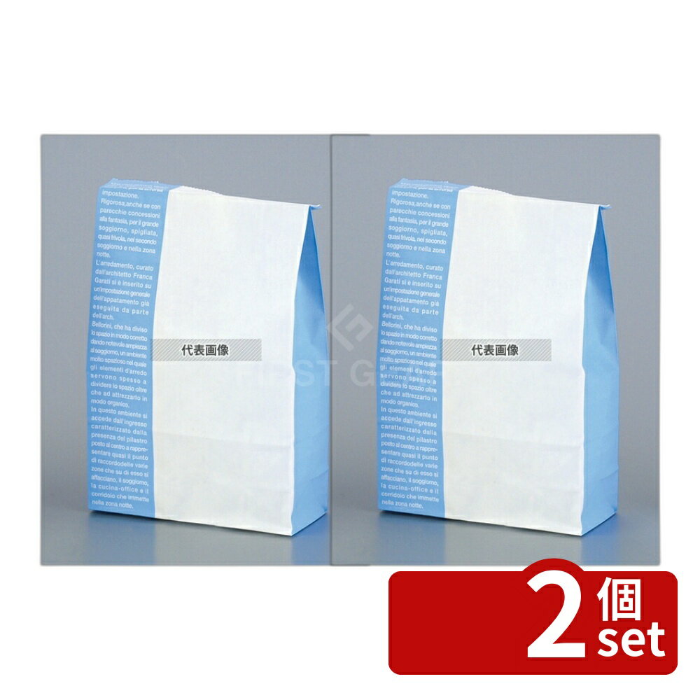 ��2�ĥ��åȡۥ����ȥʥå� SW���å����Хå� ��ʸ�� (10����) SW-102 120��50��H198 �ǥ����ץ쥤���� No.1119520