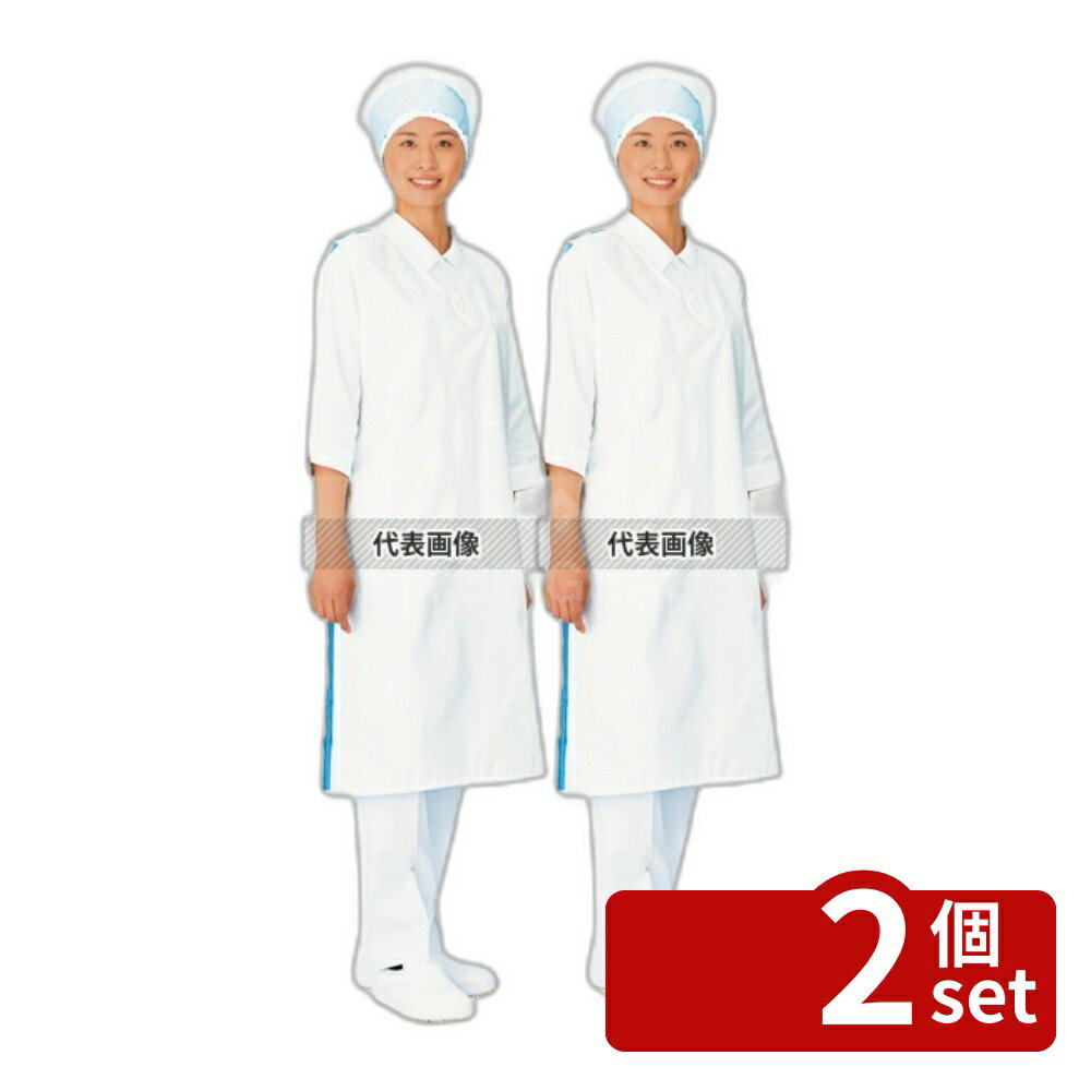 【2個セット】センシア エプロン袖ナシ (後メッシュ) E-1100-6 オレンジ 1000×570 ユニフォーム No.1169100