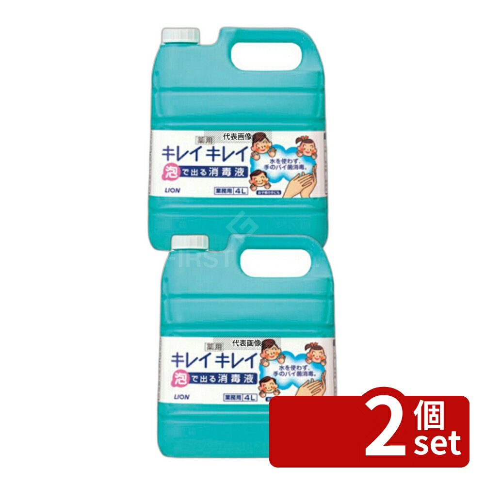 ��2�ĥ��åȡۥ饤���� ���쥤���쥤 ����ˢ�ǽХ���Ǳ� 4L(700ml�ݥ����) 4L D120��W190��H260mm ���Ǳ� No.0605040