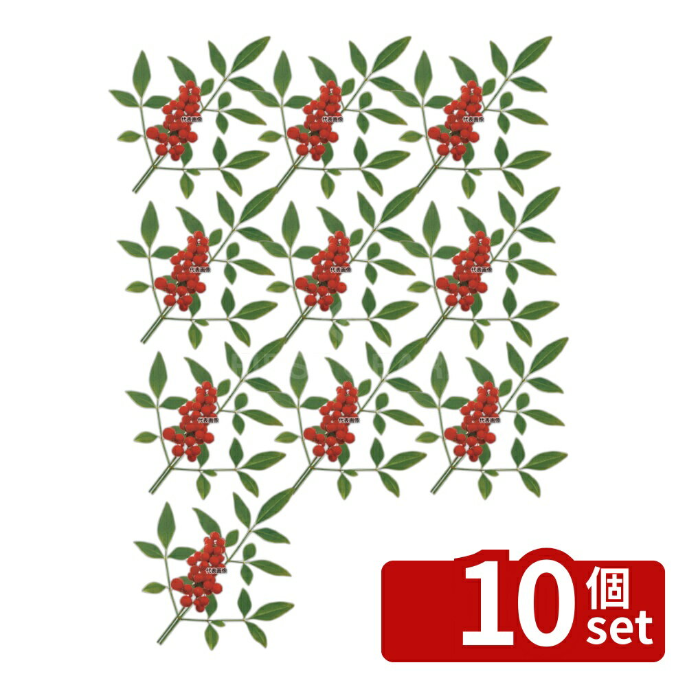 【10個セット】タカギ産業 ミリオンフィルムシート (1000枚入) 南天 縦:85 厨房消耗品 No.1312240