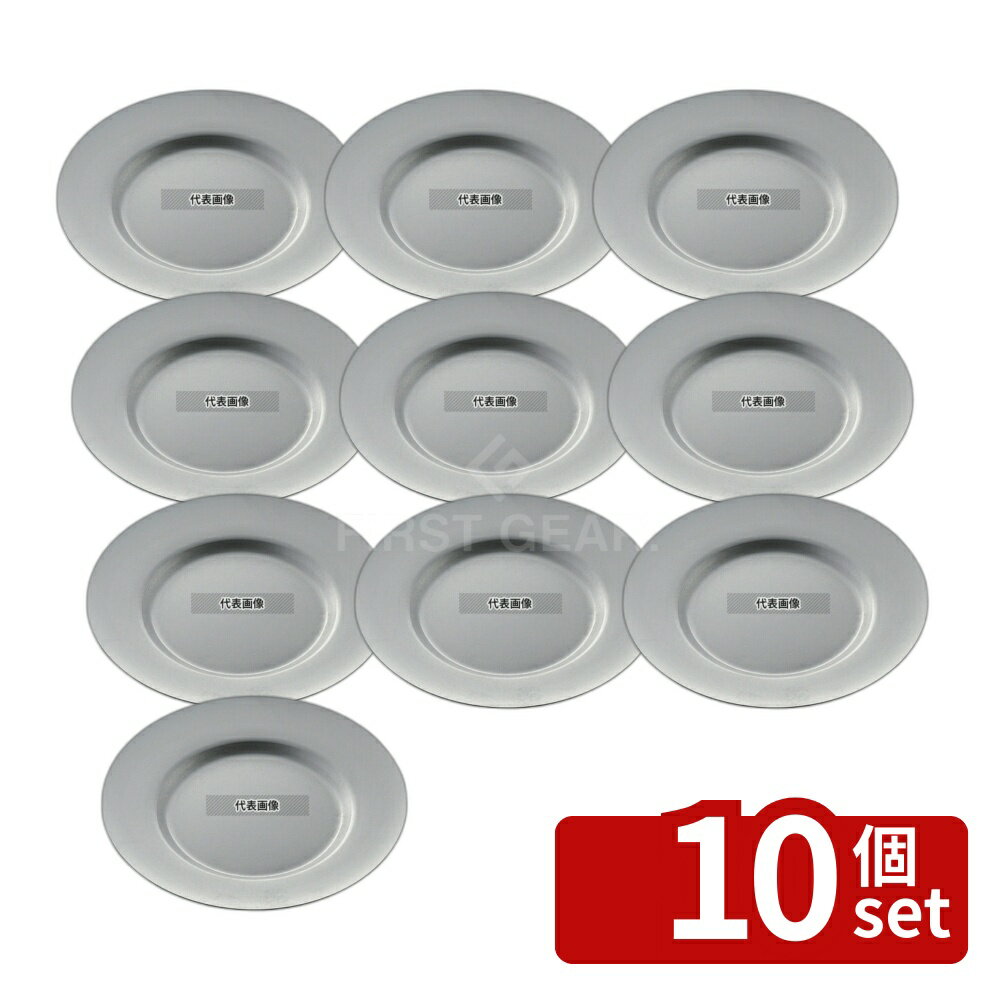 【10個セット】ヴィンテージ 18-8(ステンレス) ラウンドプレート φ195mm 065491 φ195×H16 和/洋/中 食器 No.1648900
