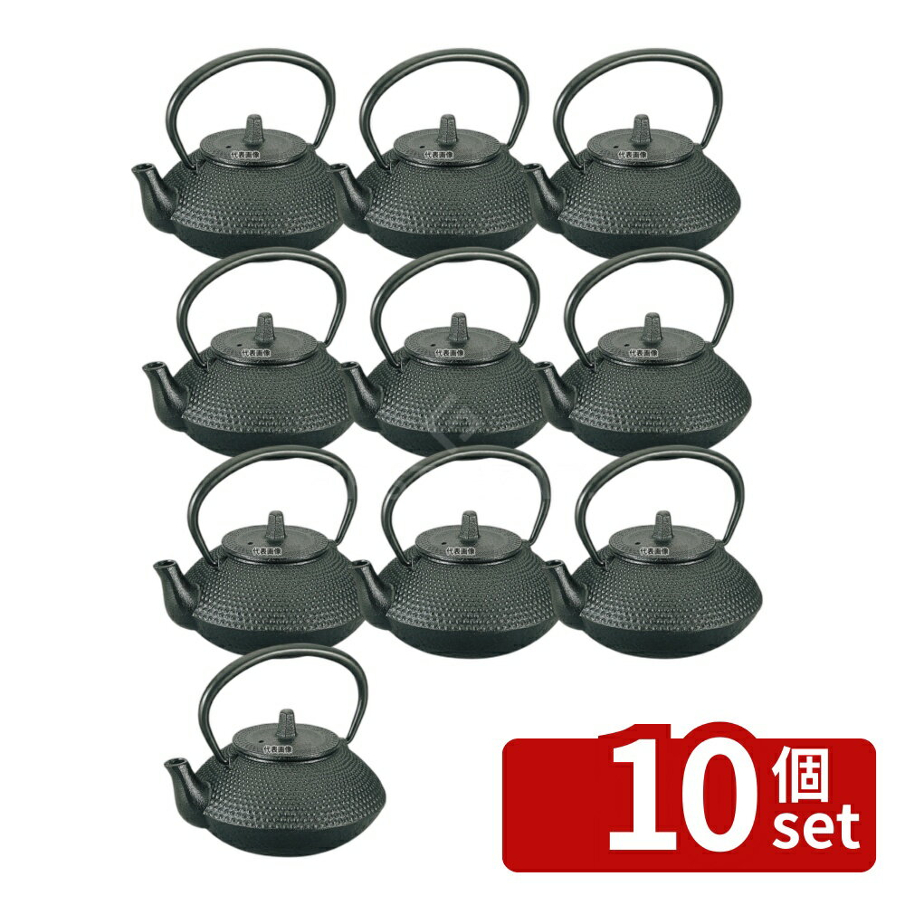 【10個セット】池永鉄工(IK) 急須 宝山 0.54L 0.54L 150×H140 急須 No.2048000