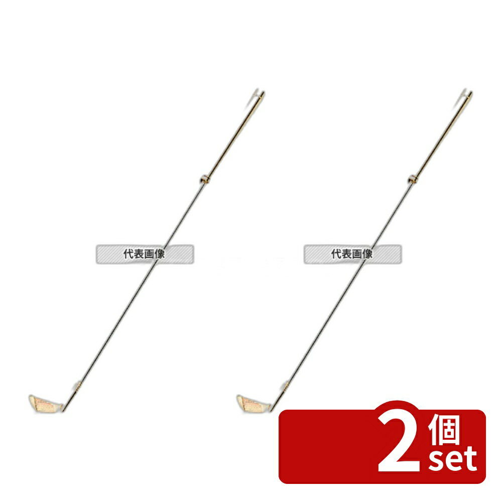 Stir Stick - 【2個セット】江部松商事 18-8(ステンレス) (金メッキ付) ゴルフマドラー ゴールド アイアン 210 ワイン/バー用品 No.5688600