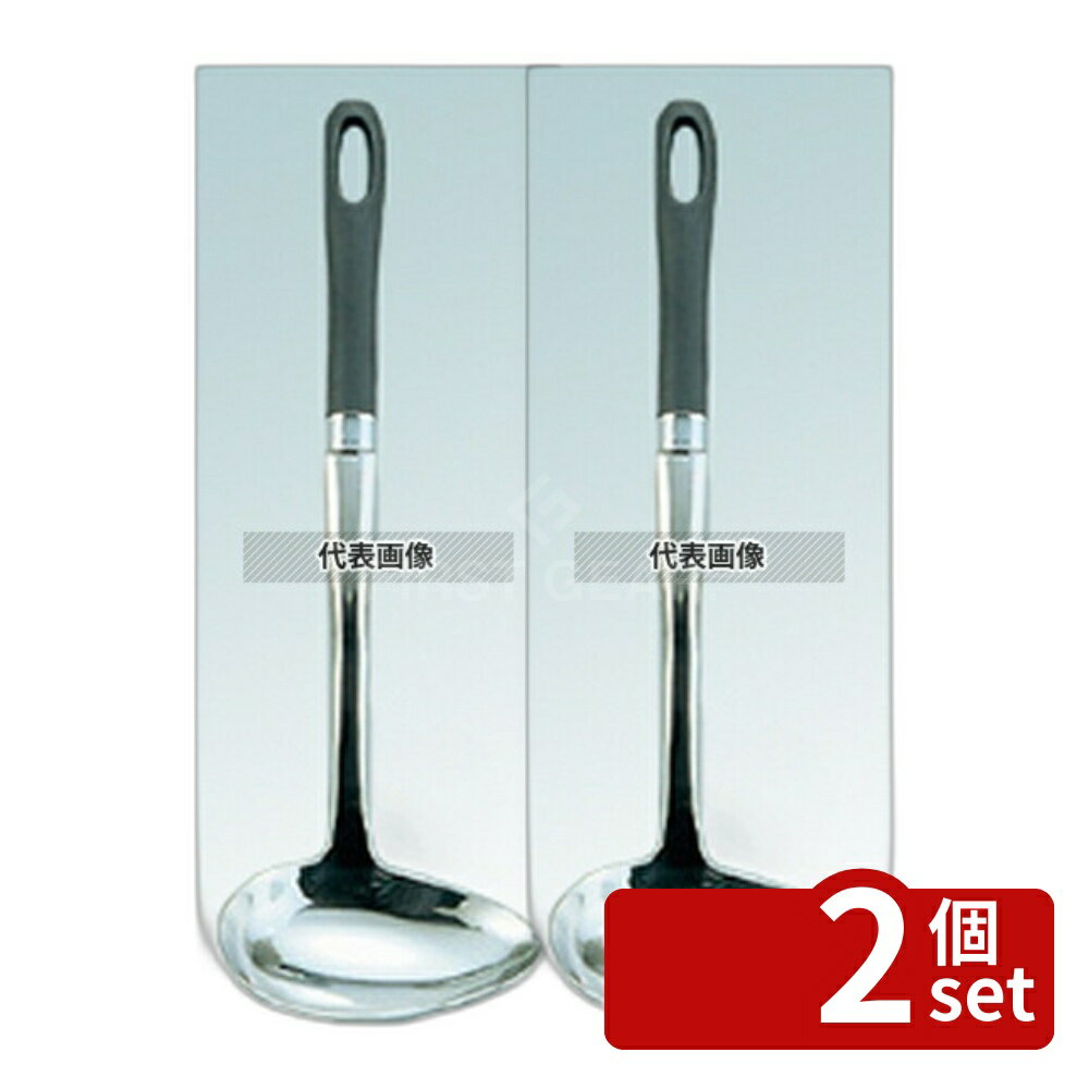【2個セット】愛妻専科 横レードル (大) AL-06 50cc 103×305 レードル No.5840900