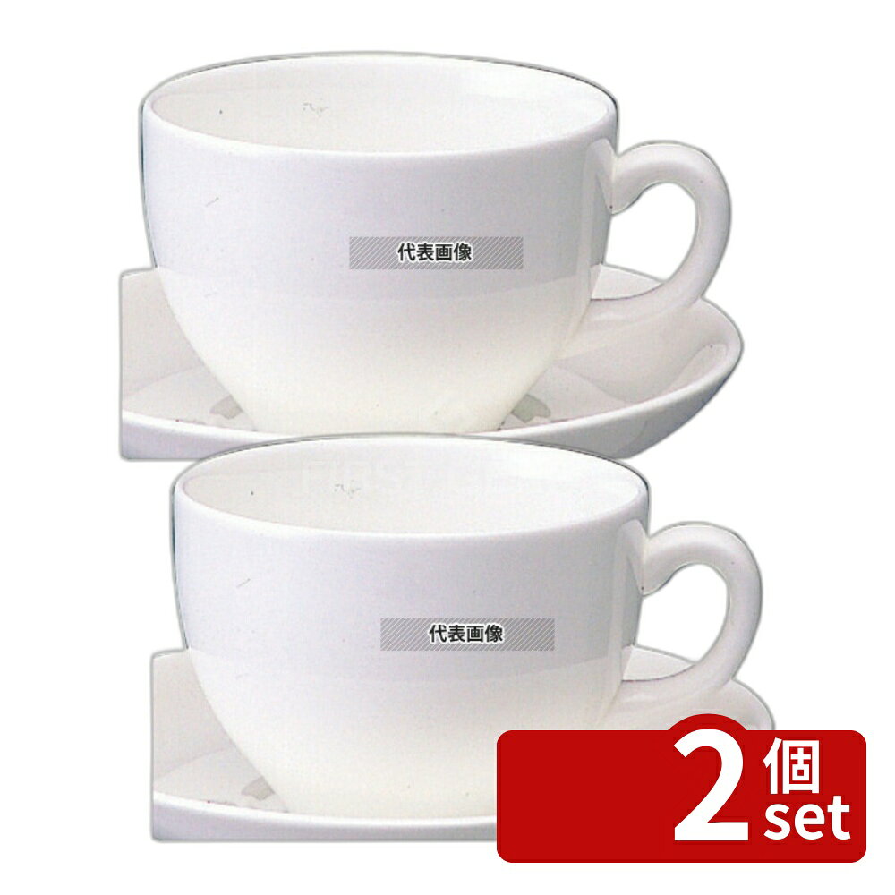 【2個セット】W・W ホワイトコノート コーヒーカップ ゴードン 53610001066 250ml 91×H65 コーヒーカップ No.5913410