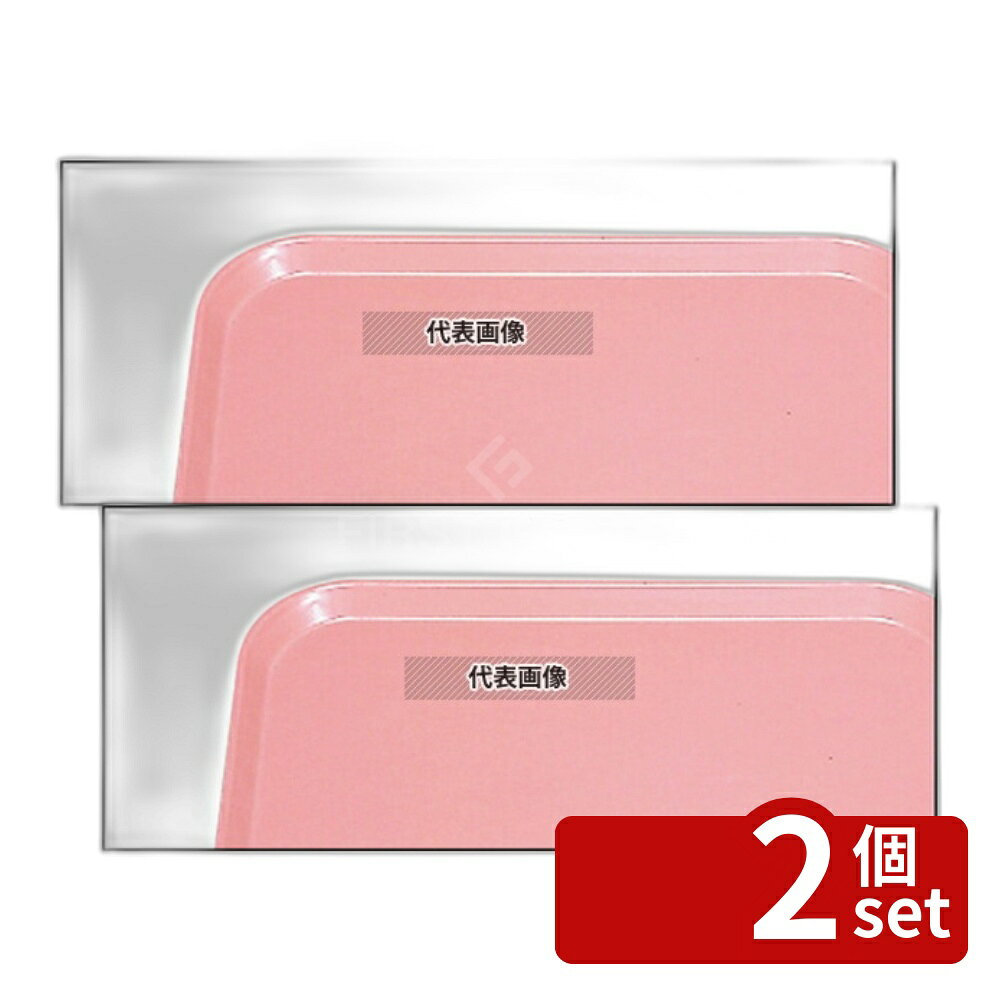 Trays - 【2個セット】CAMBRO(キャンブロ) カムトレー 1216 (409) ブラッシュ 414×303 トレイ No.6192900